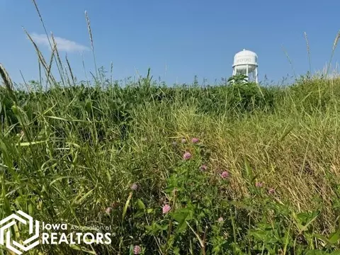1710 Bent St, Bedford, IA 50833 photo 7