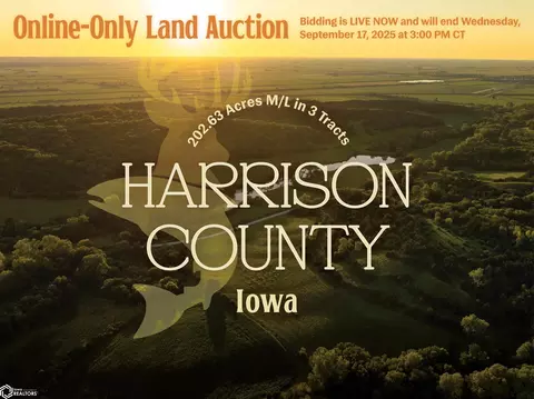 Locust Avenue, Missouri Valley, IA 51555