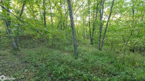 3265 298th Ln, Stuart, IA 50250 photo 52