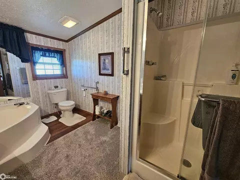 Bath - 428 E 8th St, Glidden, IA 51443 photo 3 of 4