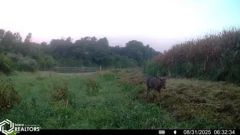tbd Old River Rd SW, Cedar Rapids, IA 52404 photo 7