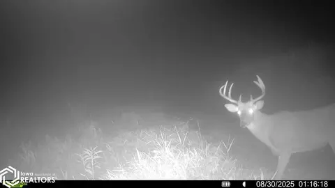 tbd Old River Rd SW, Cedar Rapids, IA 52404 photo 5