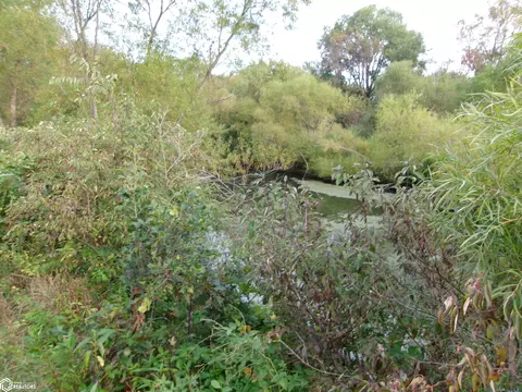 3147 Thayer Lake Rd, Thayer, IA 50254 photo 7
