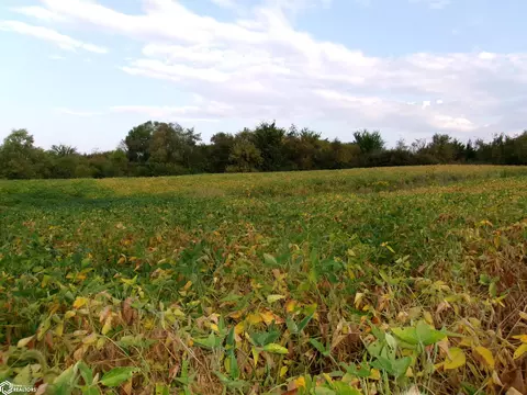 3147 Thayer Lake Rd, Thayer, IA 50254 photo 2