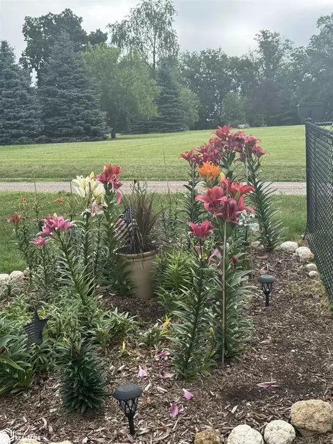 Exterior - 793 E County Rd 1430, Hamilton, IL 62341 photo 13 of 32