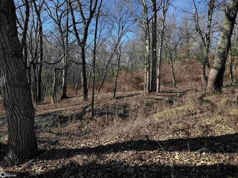Other - tbd Gray Ave, Cantril, IA 52542 photo 20 of 48