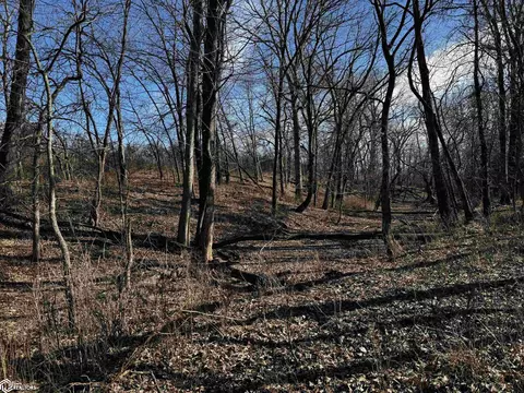 Other - tbd Gray Ave, Cantril, IA 52542 photo 15 of 48