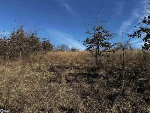 Other - tbd Gray Ave, Cantril, IA 52542 photo 22 of 48