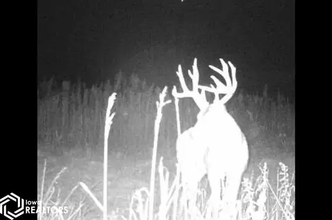 tbd 300th St, Argyle, IA 52619 photo 34