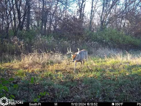 tbd 300th St, Argyle, IA 52619 photo 62