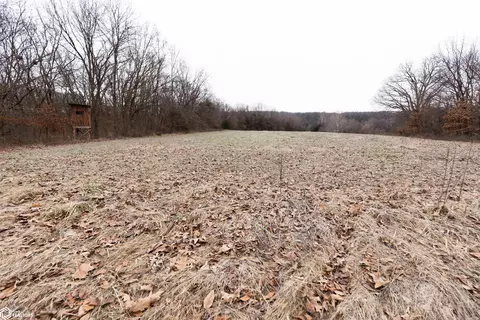 tbd 300th St, Argyle, IA 52619 photo 29