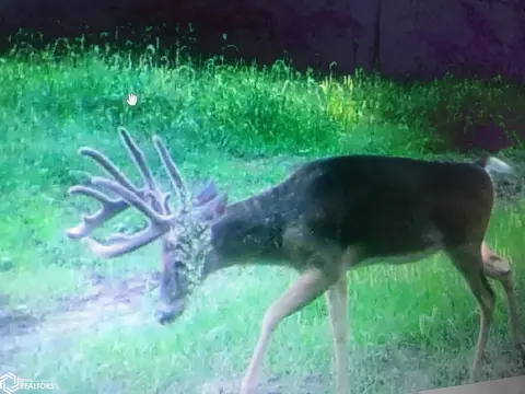 tbd 300th St, Argyle, IA 52619 photo 38