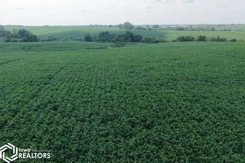 Other - 155 Th, Redding, IA 50835 photo 5 of 40