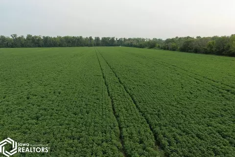 Other - 110 Th Ave, Redding, IA 50860 photo 15 of 21