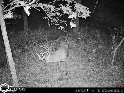 tbd 160th St, Sperry, IA 52650 photo 13