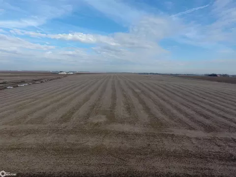 79 Acres 230th St, Allison, IA 50602