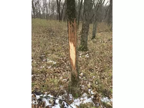 0000 170th St, Gravity, IA 50848 photo 27