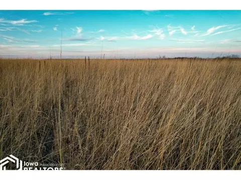 0000 170th St, Gravity, IA 50848 photo 17