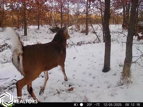 0000 200th St, Kellerton, IA 50133 photo 23