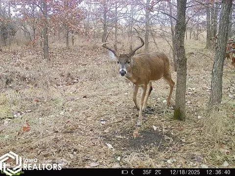 0000 200th St, Kellerton, IA 50133 photo 22