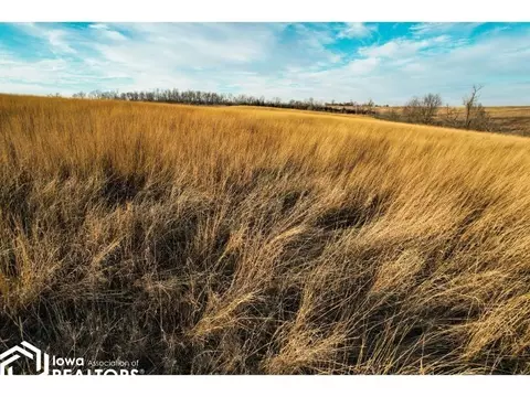 0000 200th St, Kellerton, IA 50133 photo 9