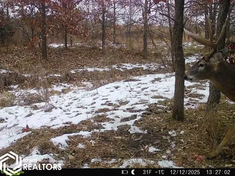 0000 200th St, Kellerton, IA 50133 photo 3