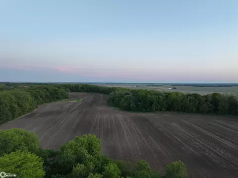 Bluff Road, New Boston, IL 61272