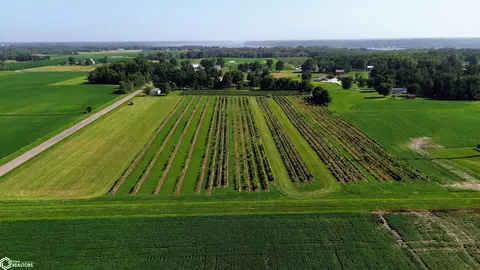 315 S Winchester St, Nauvoo, IL 62354