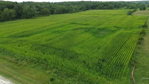 21 Acres Timber Ave, Bloomfield, IA 52537