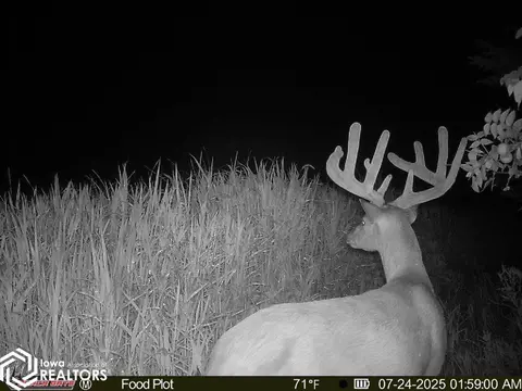 tbd 272nd Ln, Stuart, IA 50250 photo 12