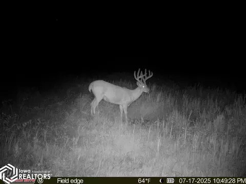 tbd 272nd Ln, Stuart, IA 50250 photo 19