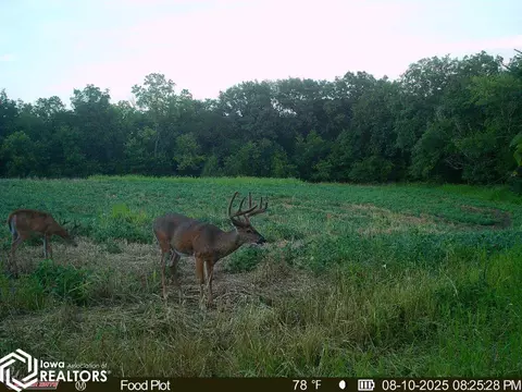 tbd 272nd Ln, Stuart, IA 50250 photo 22