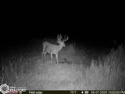 tbd 272nd Ln, Stuart, IA 50250 photo 14
