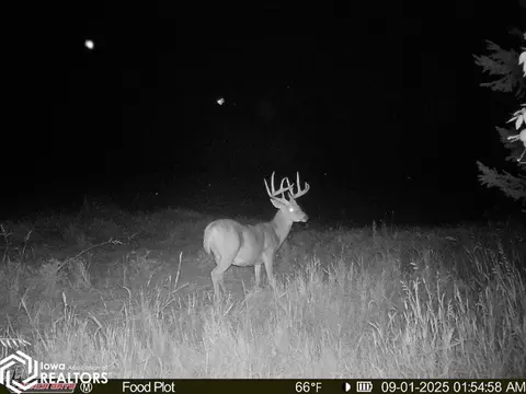 tbd 272nd Ln, Stuart, IA 50250 photo 18