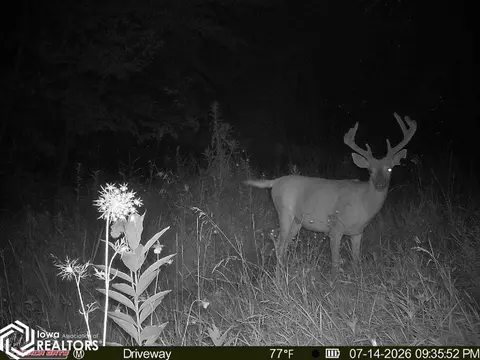tbd 272nd Ln, Stuart, IA 50250 photo 16