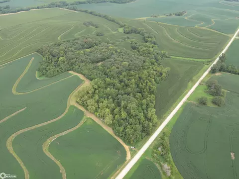 16 88 Acres A Ave, Essex, IA 51638