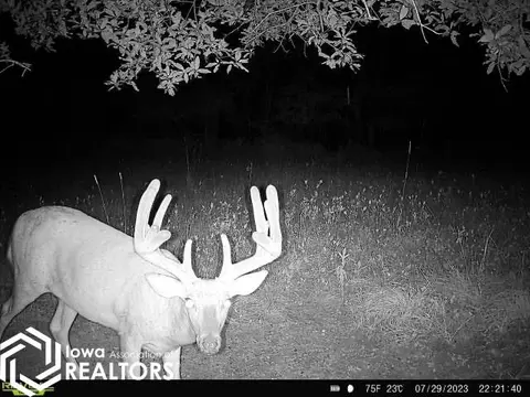 tbd 540th St, Centerville, IA 52544 photo 62
