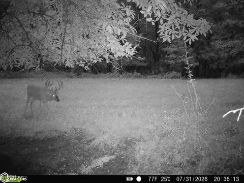 tbd 540th St, Centerville, IA 52544 photo 69