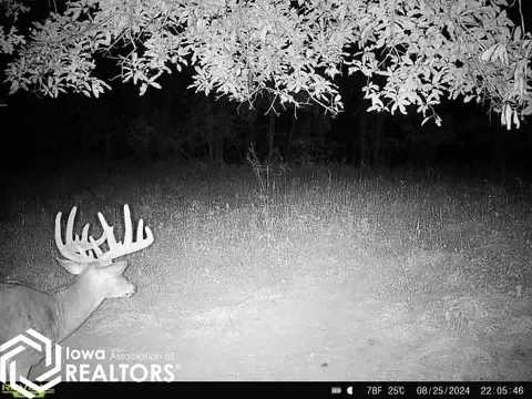 tbd 540th St, Centerville, IA 52544 photo 31