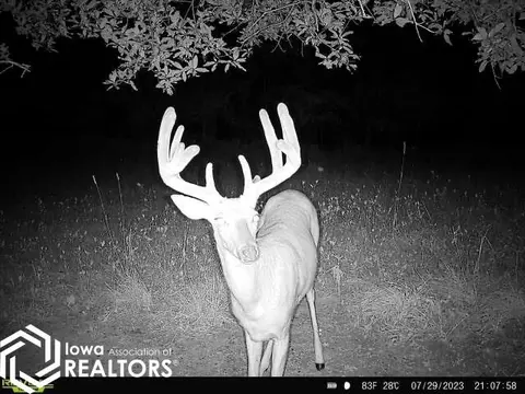 tbd 540th St, Centerville, IA 52544 photo 65