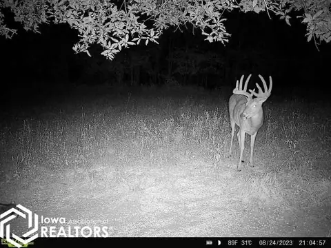 tbd 540th St, Centerville, IA 52544 photo 66