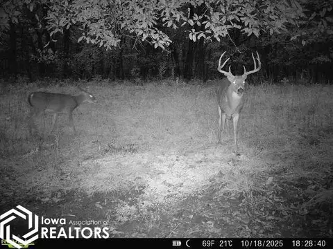 tbd 540th St, Centerville, IA 52544 photo 70