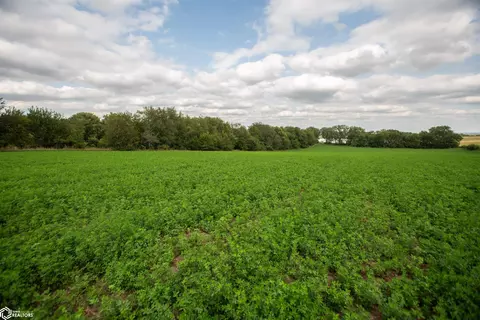 tbd Main St, Sidney, IA 51652 photo 22