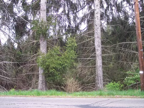 lot Apt 4 Pioneer Ave, Shavertown, PA 18708