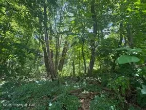 138 S Keyser Ave, Scranton, PA 18505