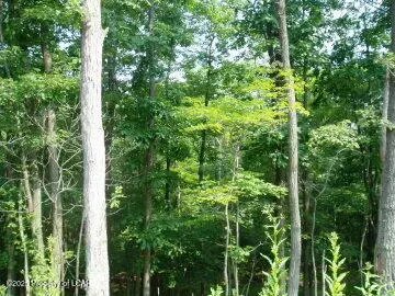8 Turnberry Ln, Hazle Township, PA 18202
