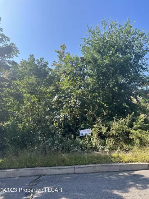 4 Jackson Street, Edwardsville, PA 18704