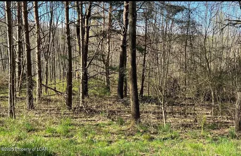 202 Buttonbush Lane, Hazle Township, PA 18202