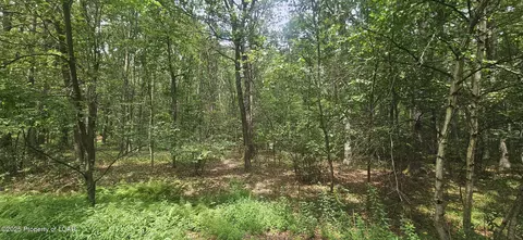 lot016 Hemlock Dr, Sheppton, PA 18248