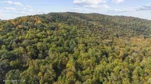 173 Root Hollow Ln, Tunkhannock, PA 18657